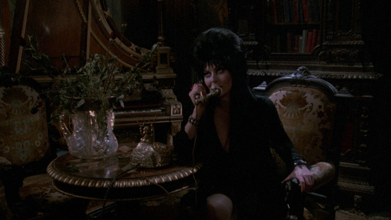 Elvira: Mistress of the Dark background 85