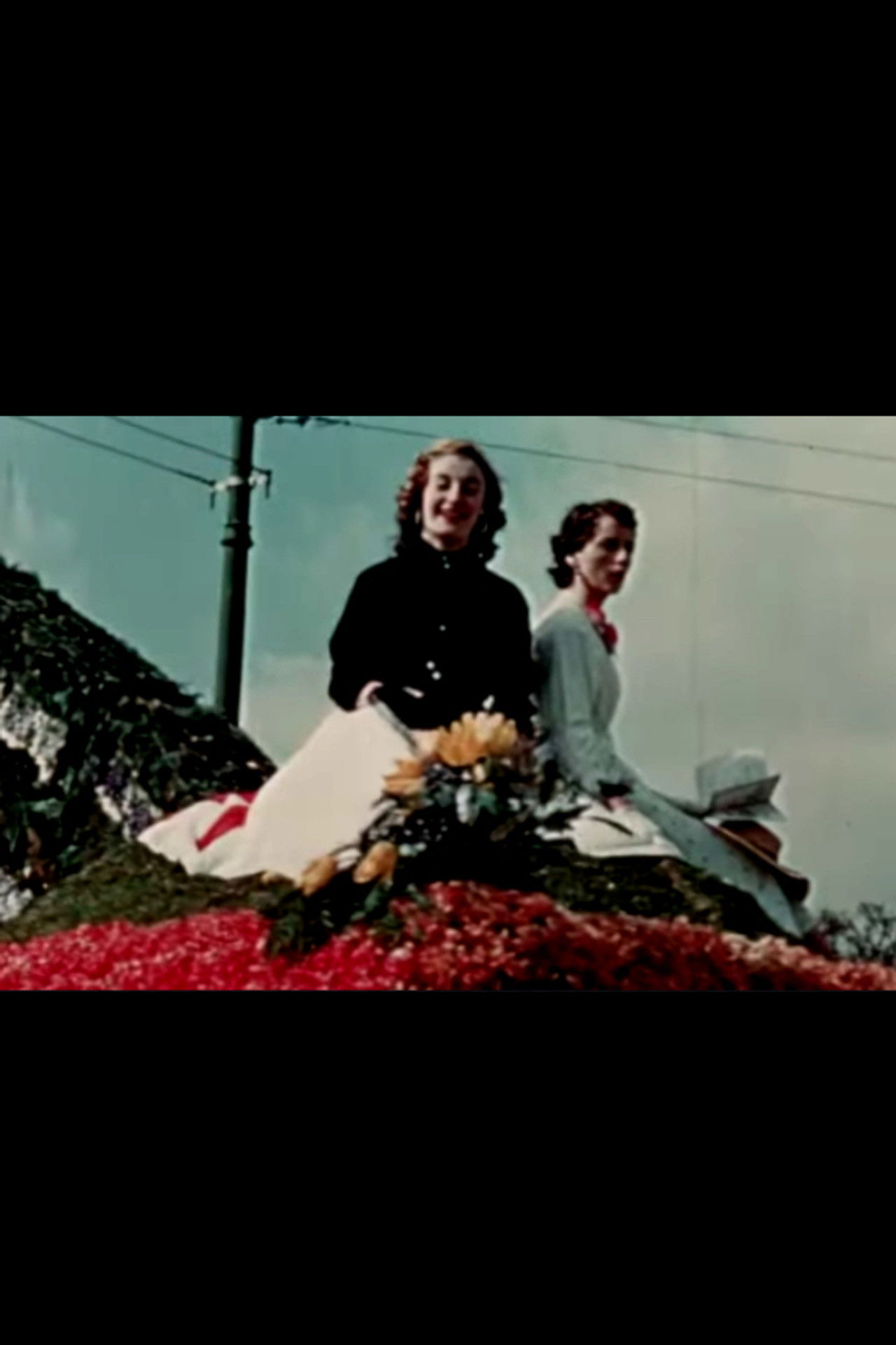 Tapestry of Ireland Backdrop