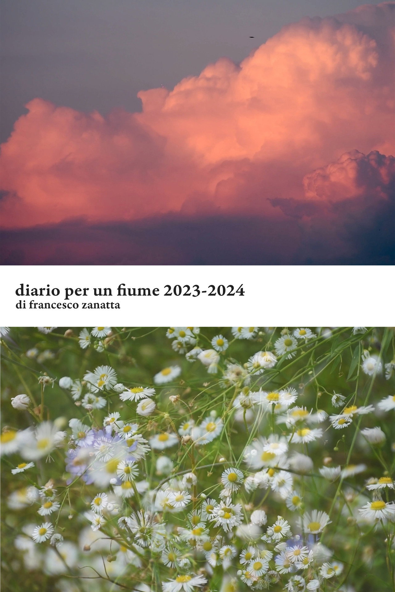Diario per un fiume 2023-2024 filmaffisch
