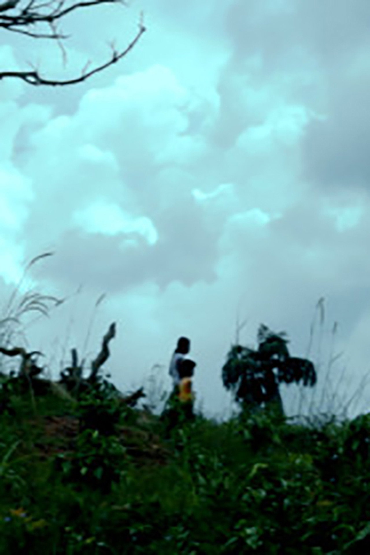 The Exile (Pituvahalaya) filmaffisch