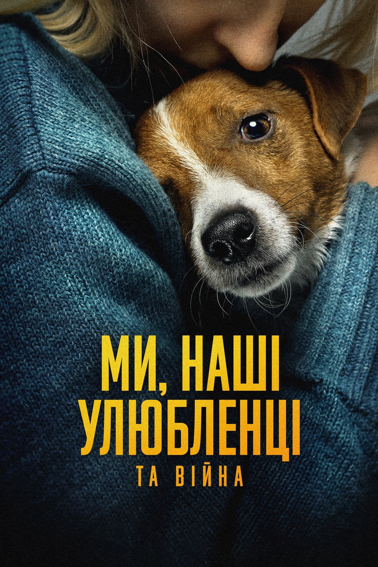 Ми, наші улюбленці та війна poster