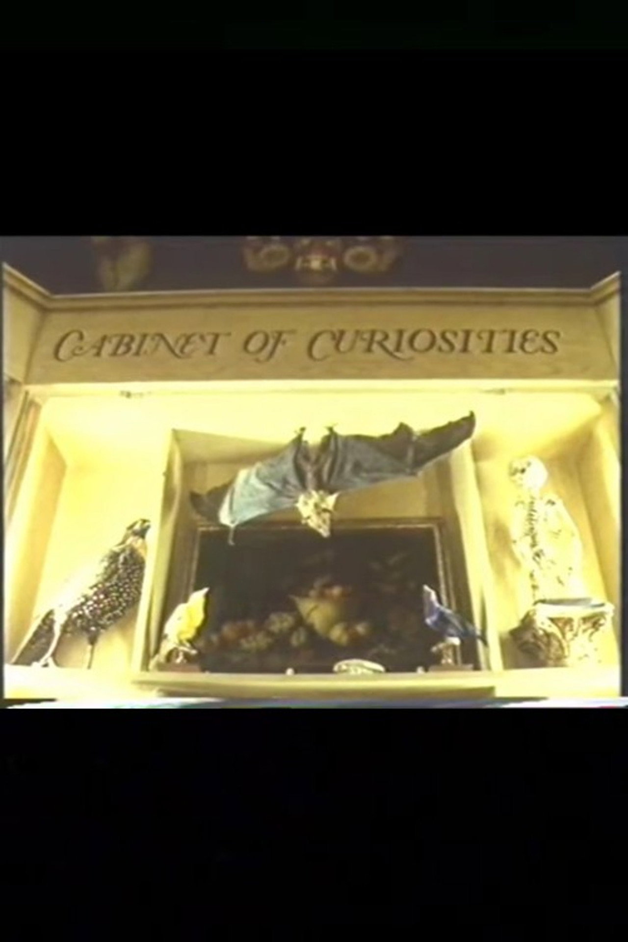 Cabinet of Curiosities filmaffisch