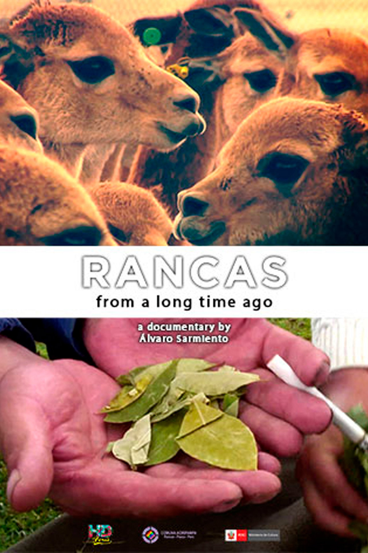 Rancas, desde hace tiempo