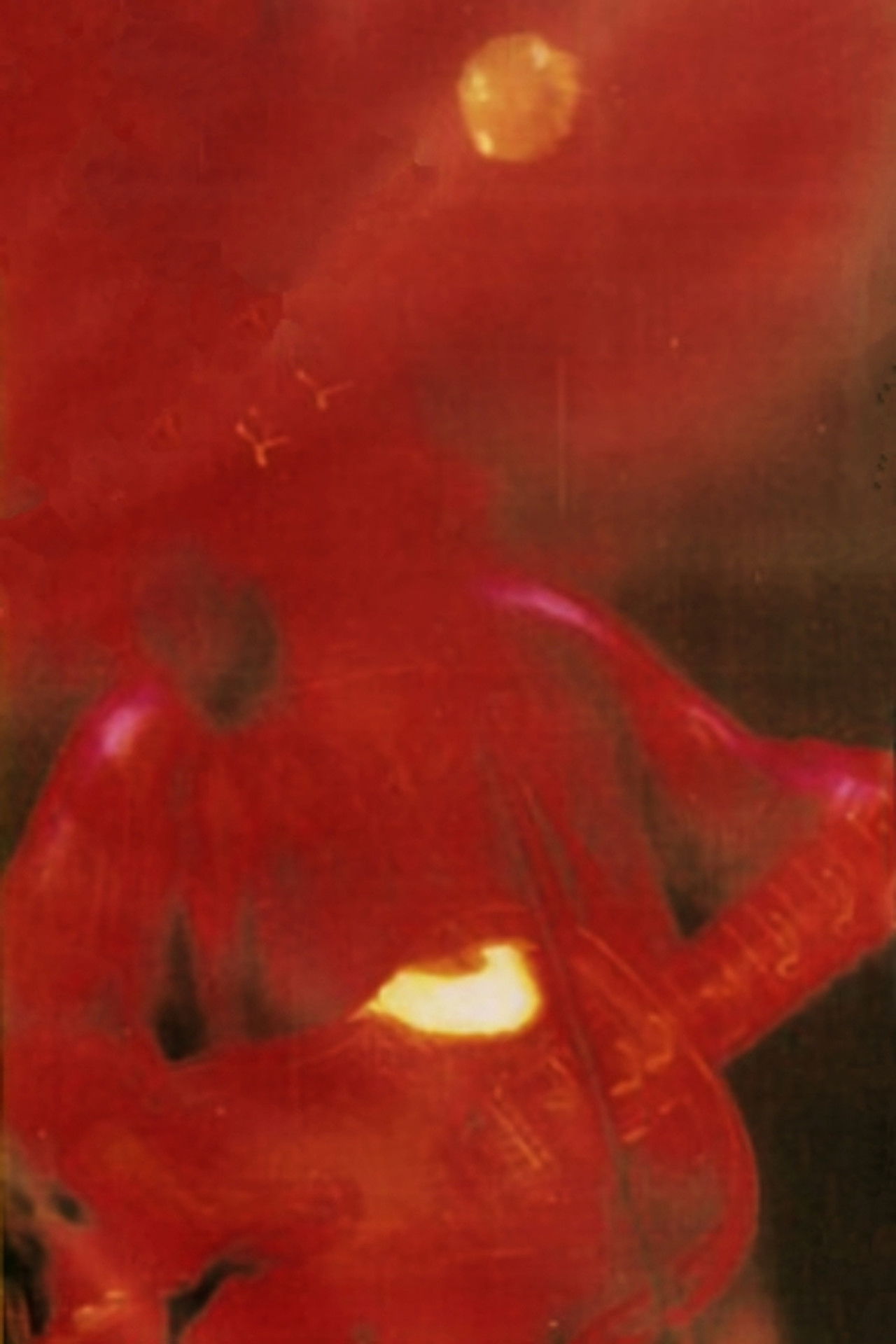 これもひとつの世界 Backdrop