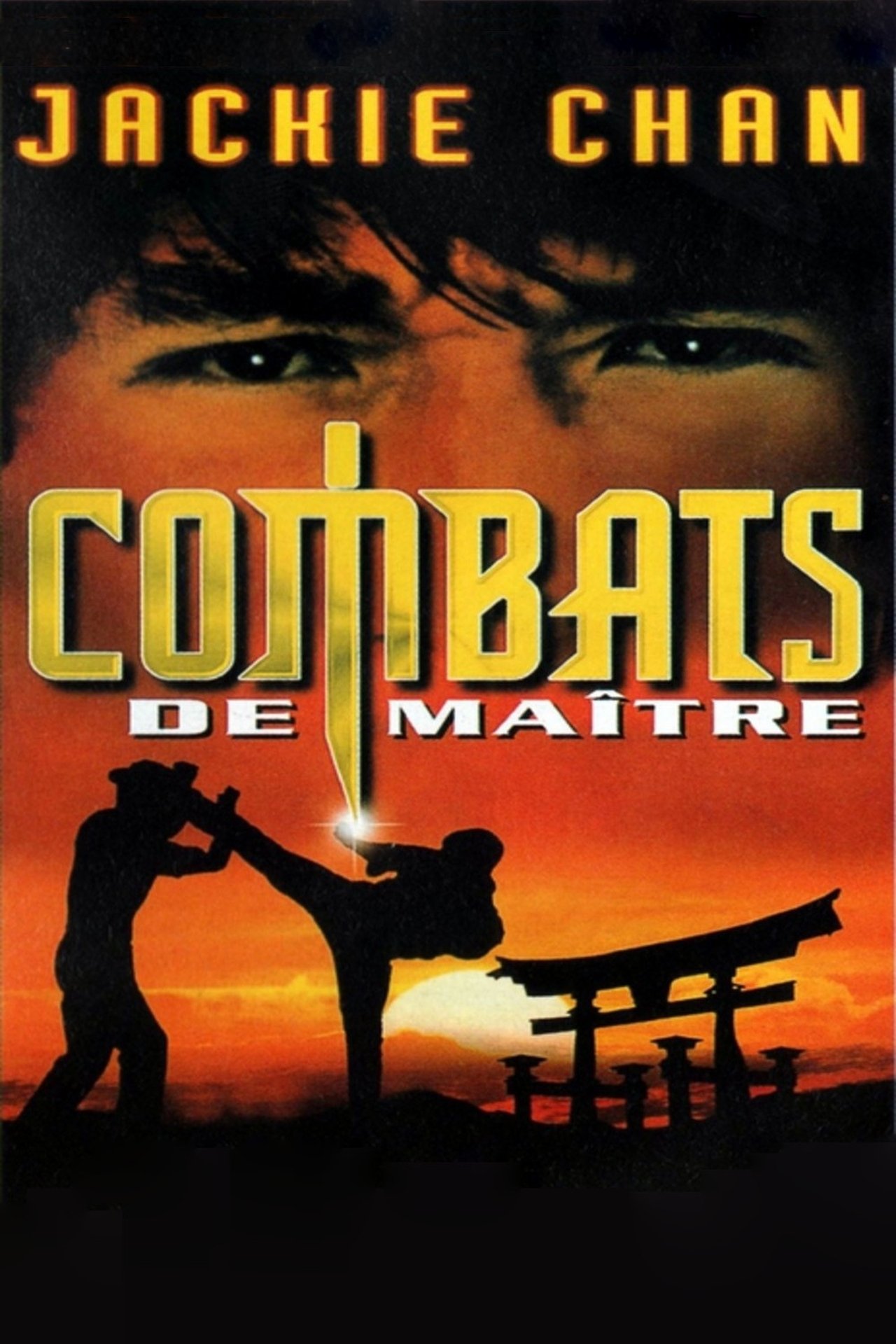 Combats de maître poster