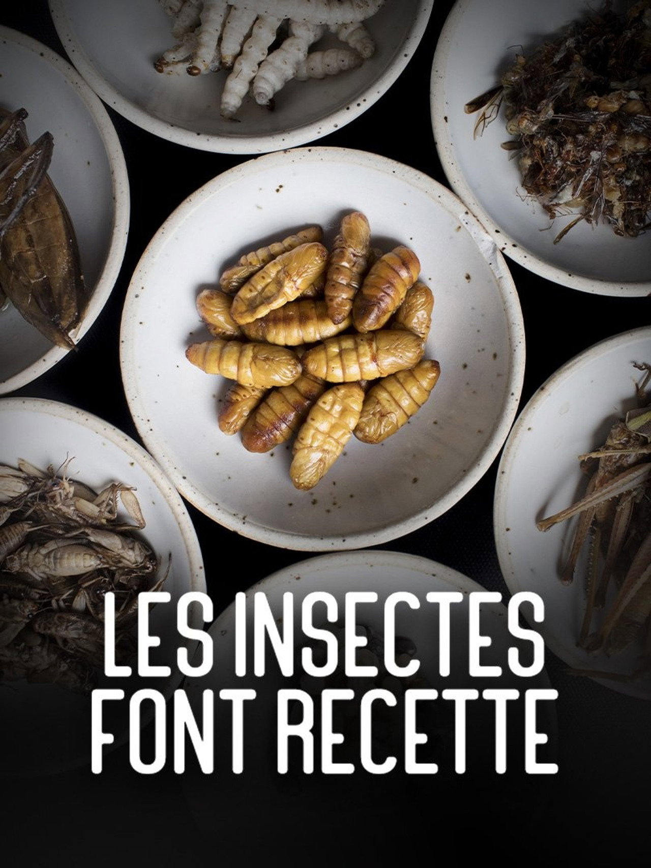 Les insectes font recette