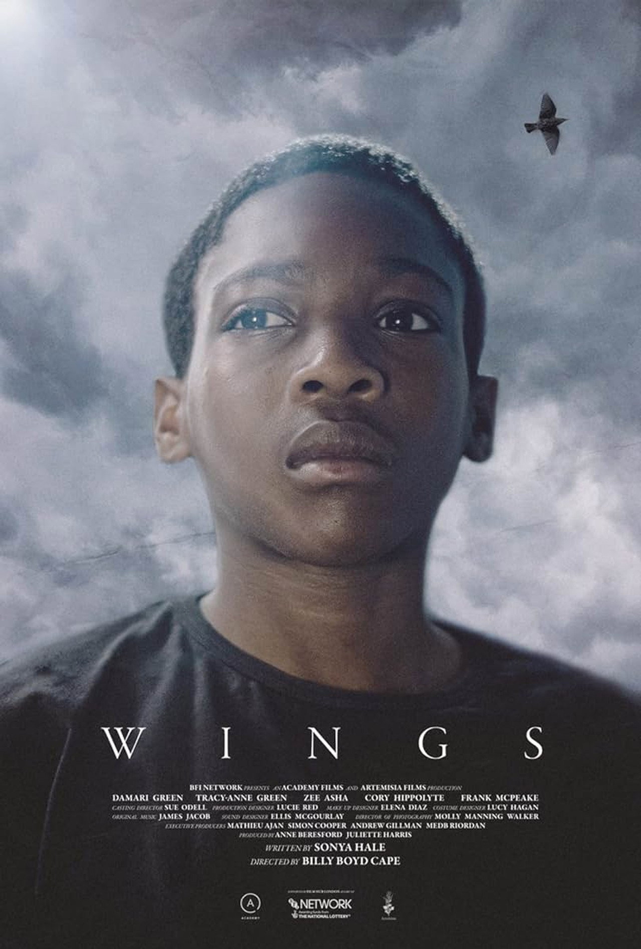 Wings filmaffisch