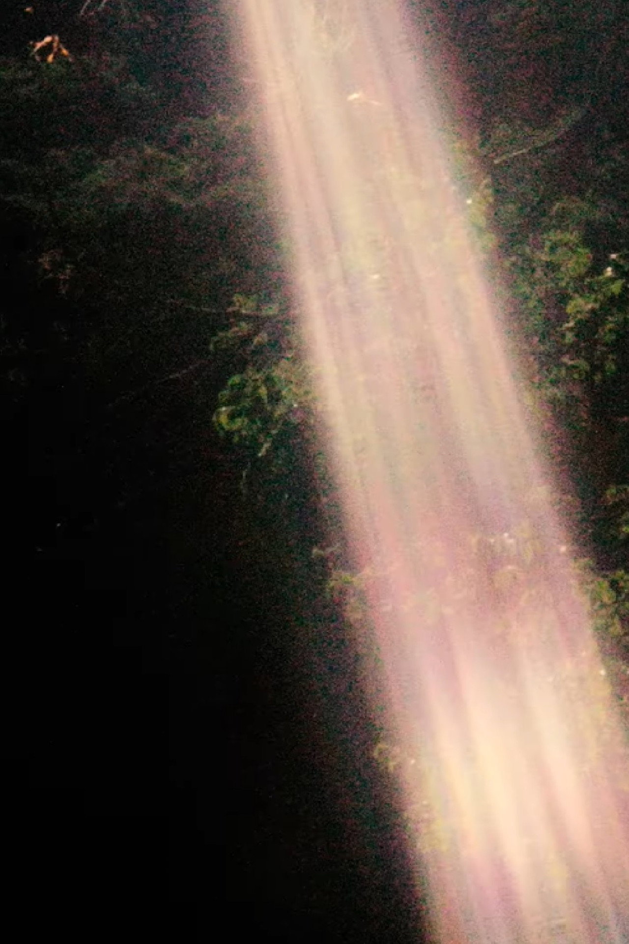 Los dias. Sálvame. Las noches. Hueco filmaffisch