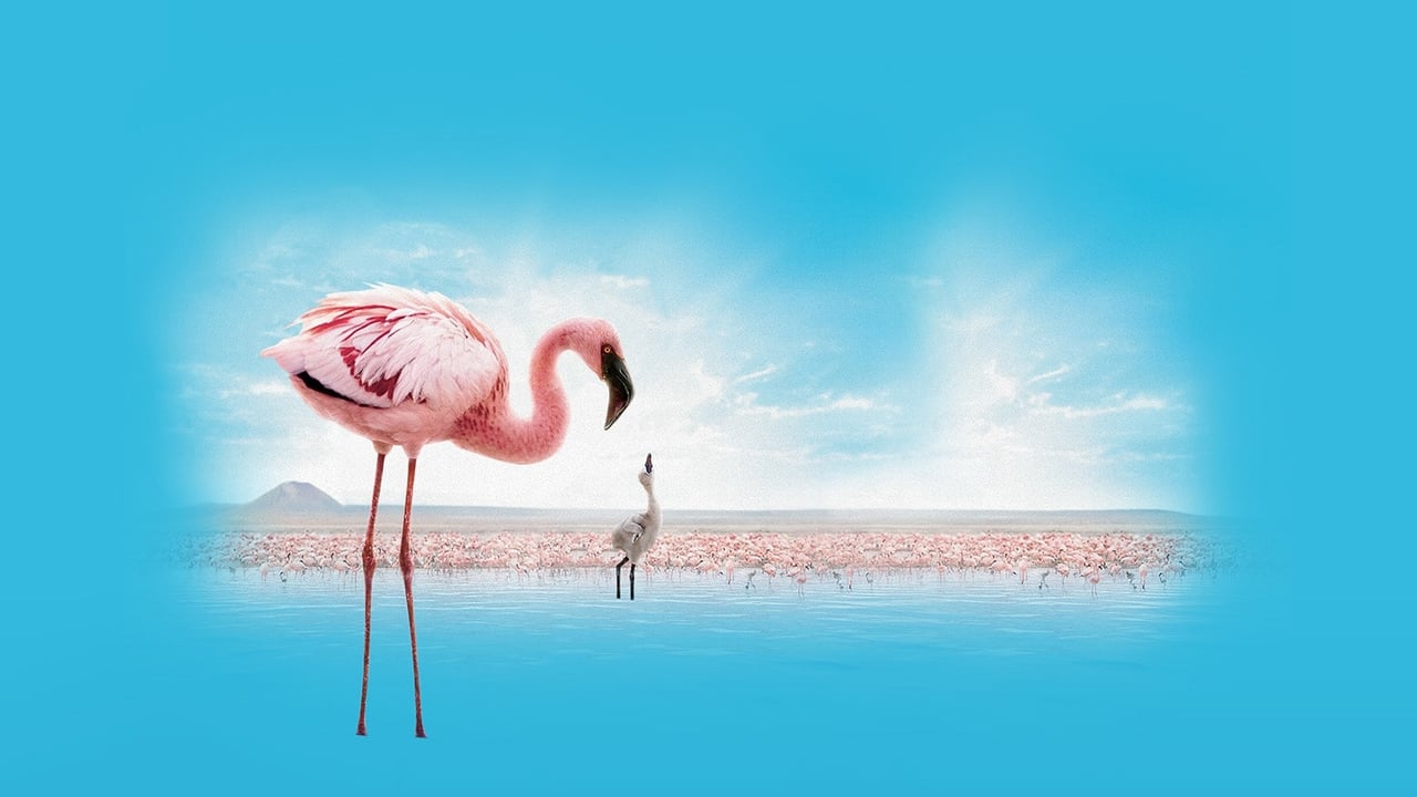 The Crimson Wing: Mystery of the Flamingos Backdrop Image