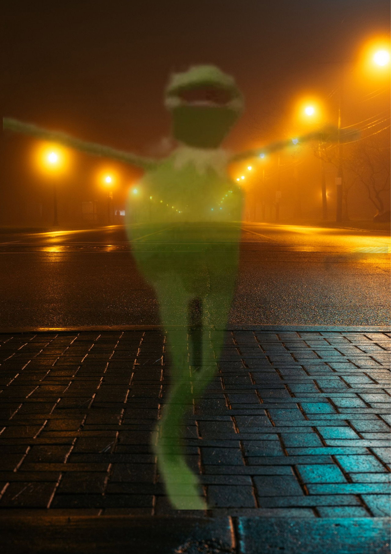 A delicate dance with god ~ {Kermit filmaffisch