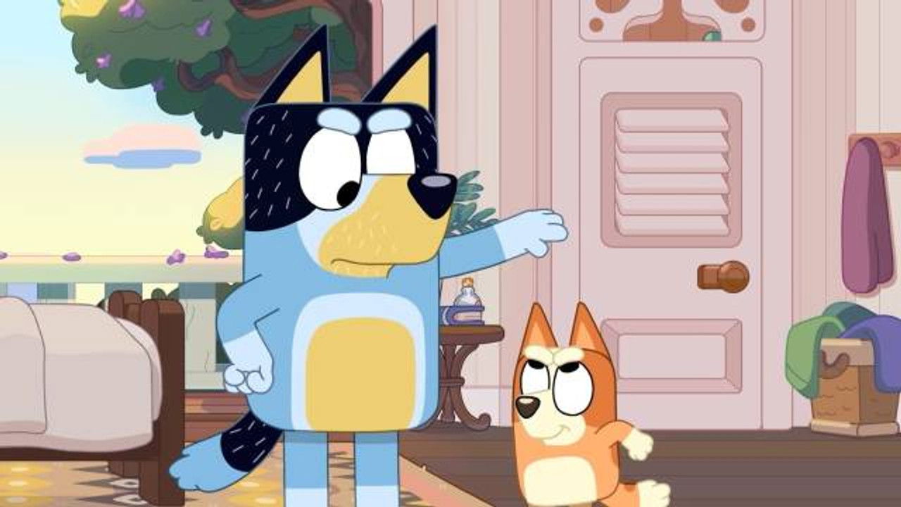 布鲁伊迷你剧 中文版 — Épisode 15