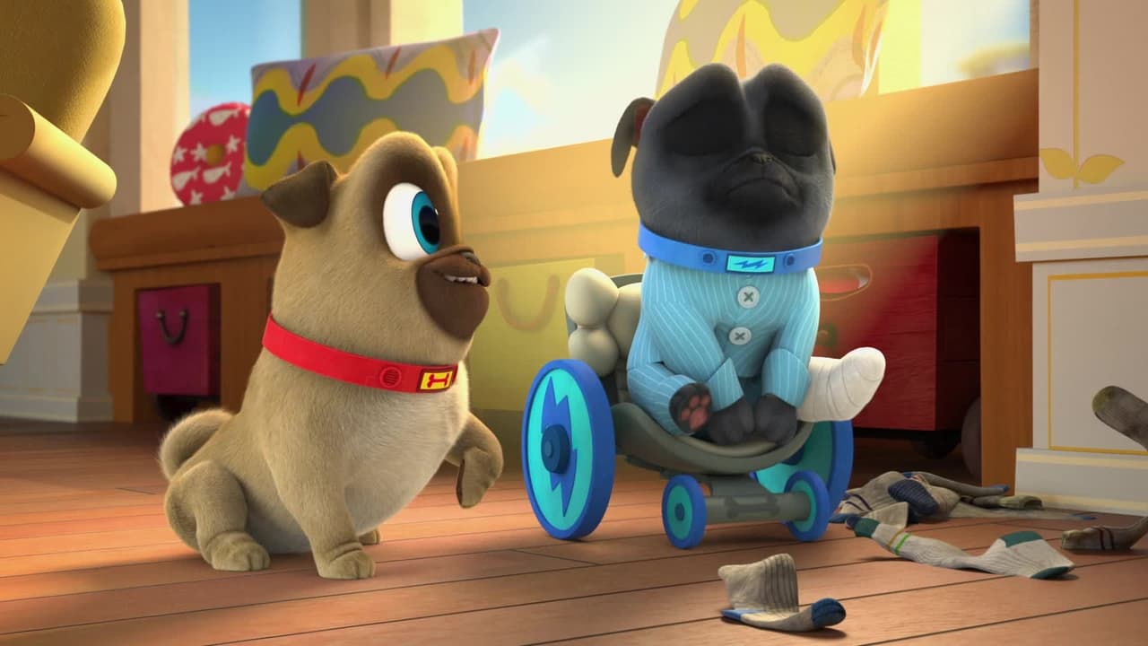 Puppy Dog Pals - Season 5 Episode 22 : Big Wheelies