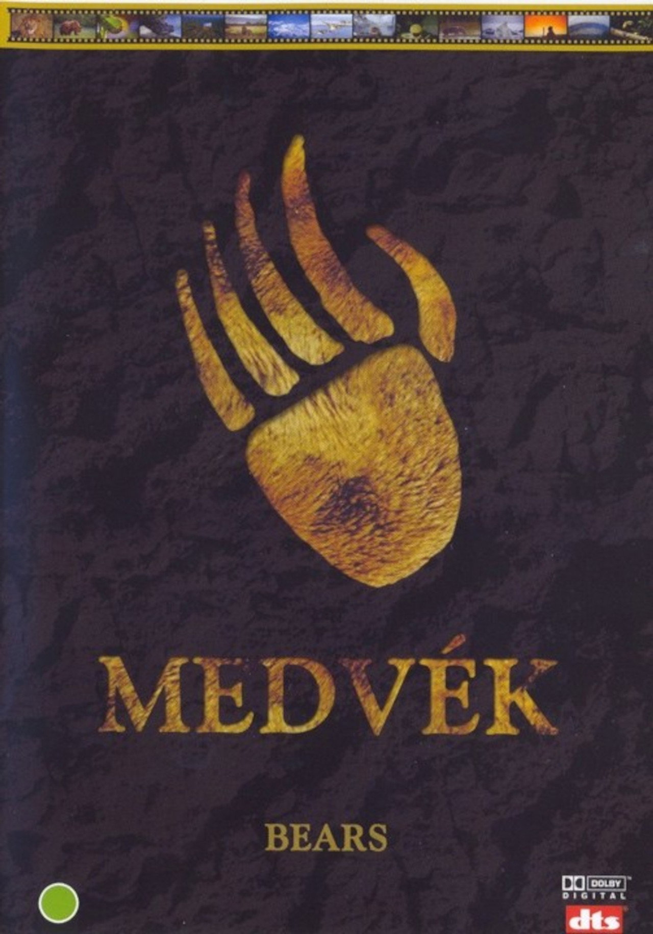 Medvék – plakát 5