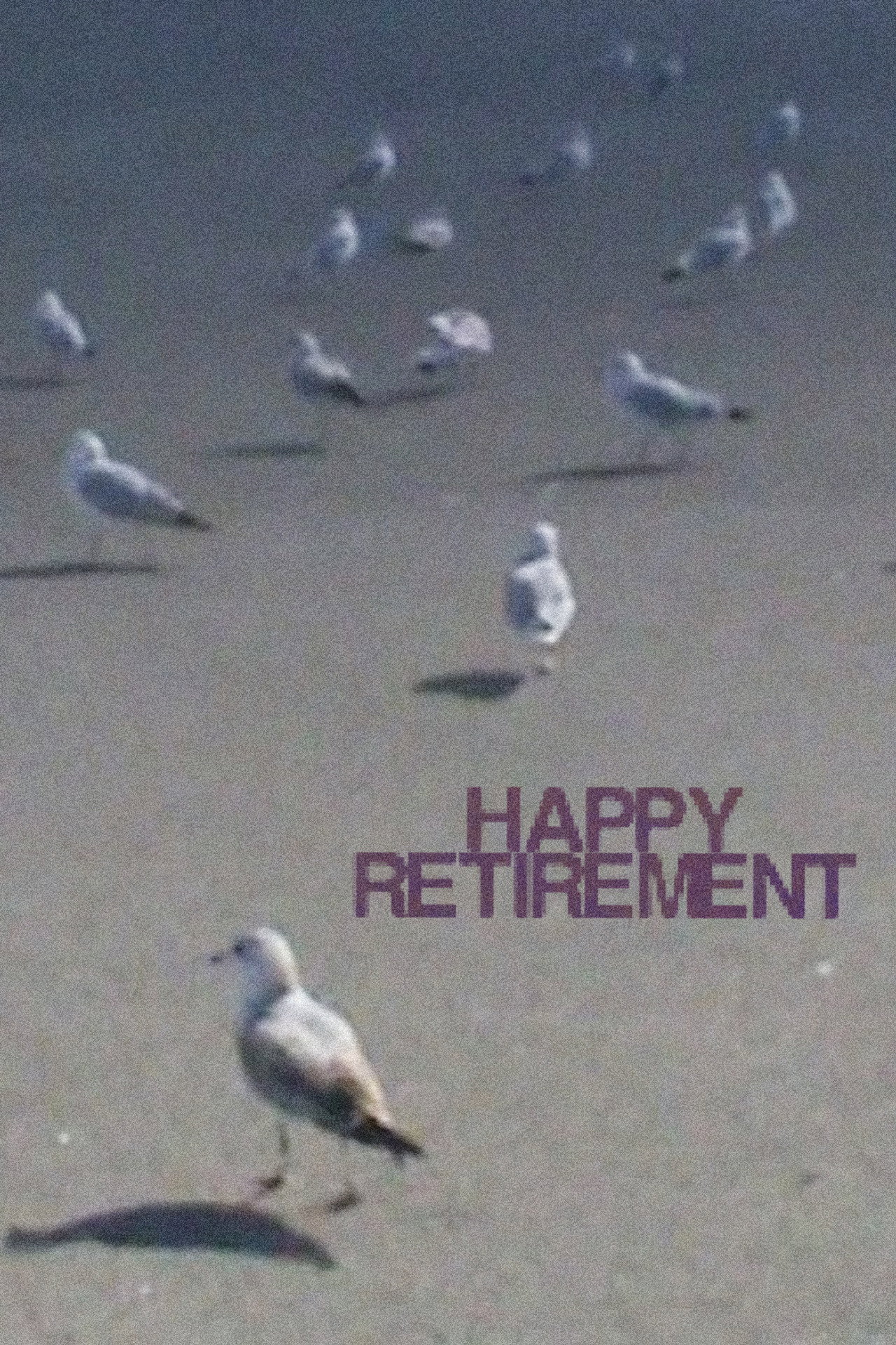 Happy Retirement! filmaffisch