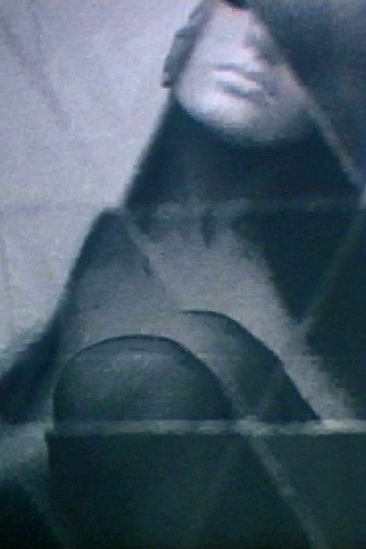 1969 Exhibit Backdrop