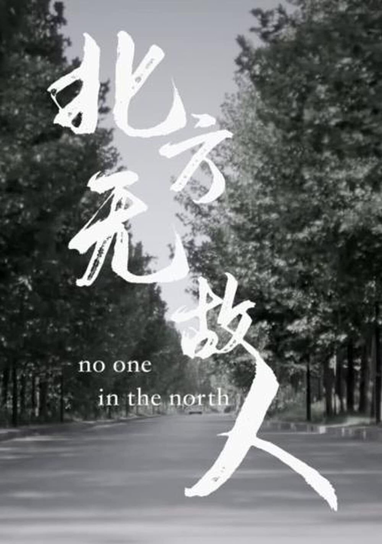 No One in the North filmaffisch