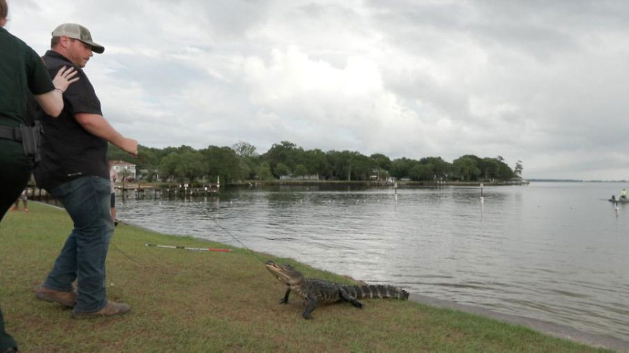 On Patrol: Live — Épisode 78