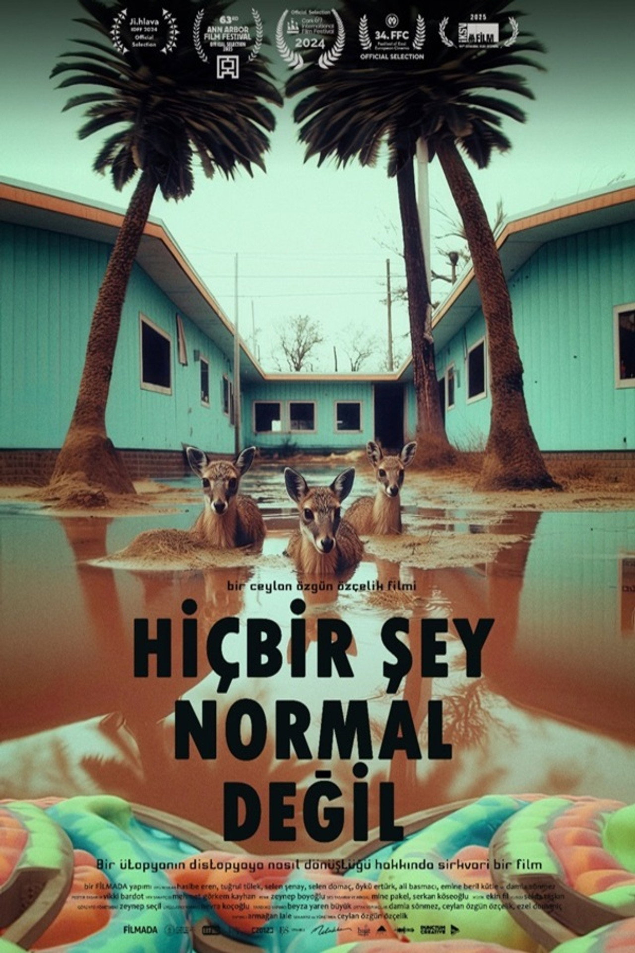 Hiçbir Şey Normal Değil filmaffisch