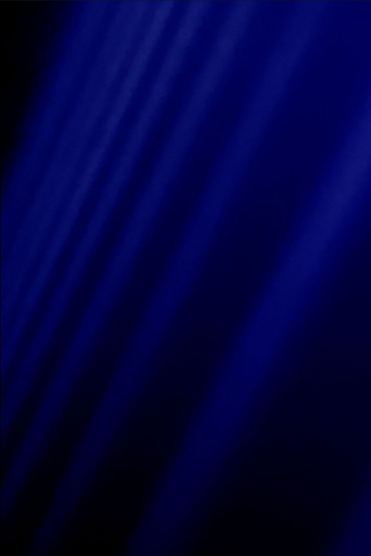 Bluebeam