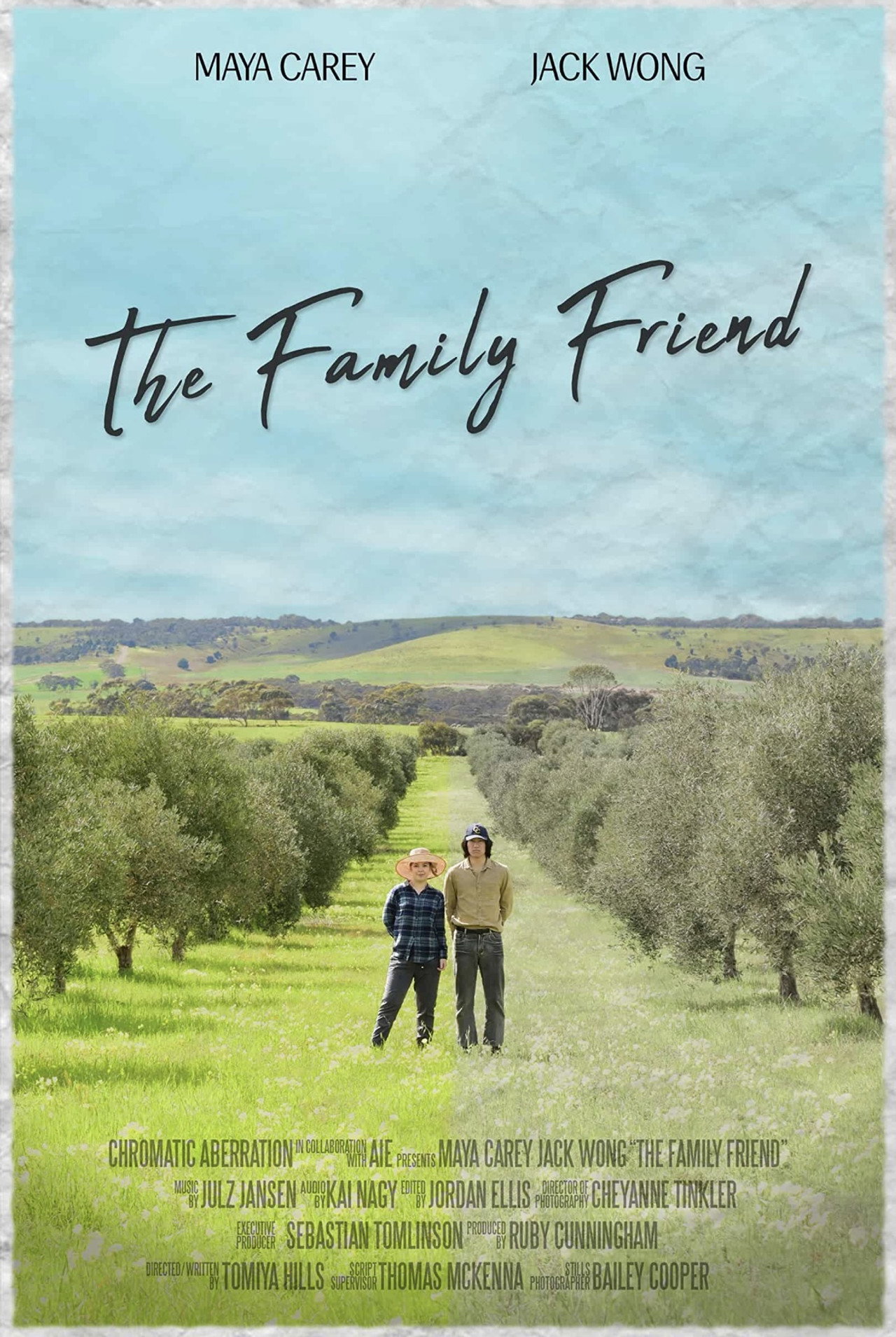 The Family Friend filmaffisch