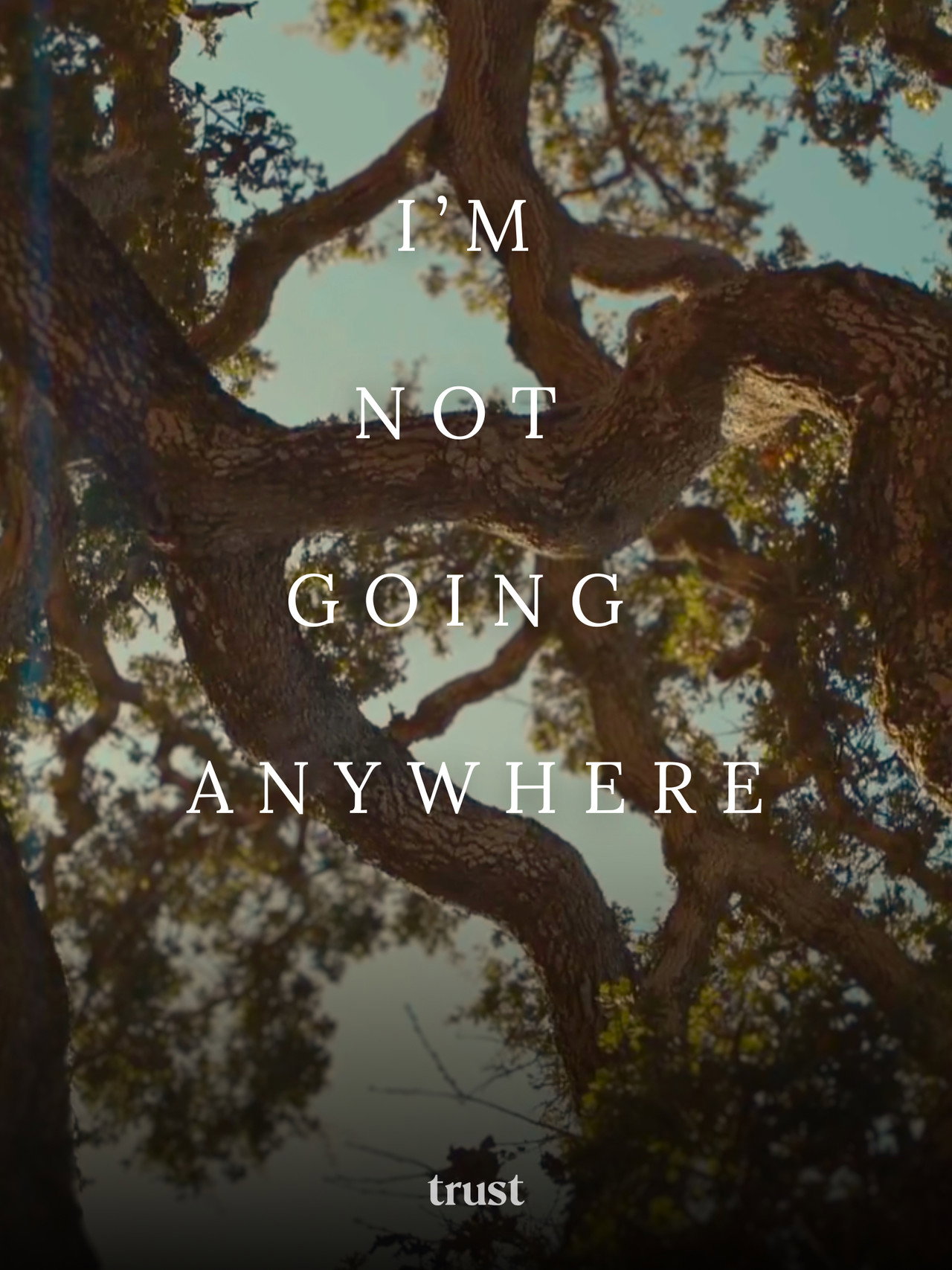I'm Not Going Anywhere Backdrop
