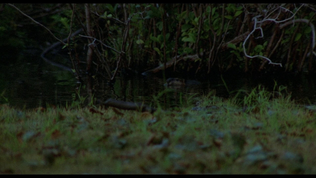 Friday the 13th background 63