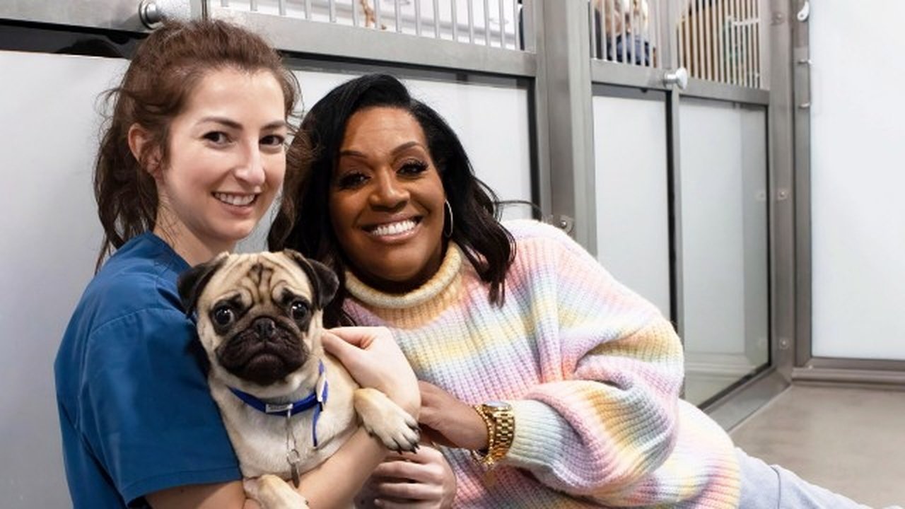 For the Love of Dogs - Season 12 Episode 3 : Episode 3