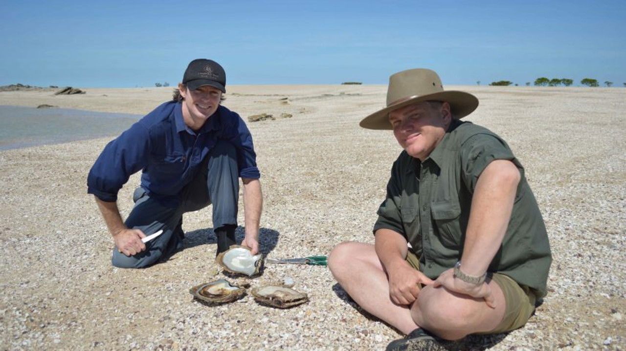 Australian Wilderness with Ray Mears — Épisode 5