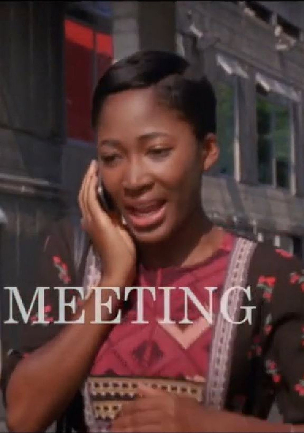 Chance Meeting