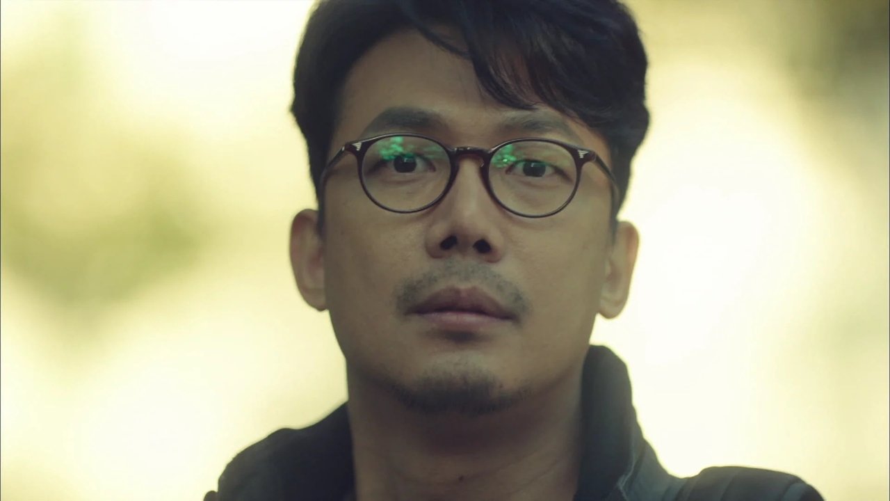 Image Signal (2016)