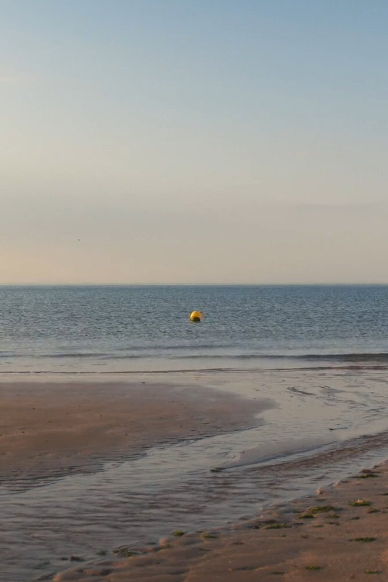 albion, refreshed filmaffisch