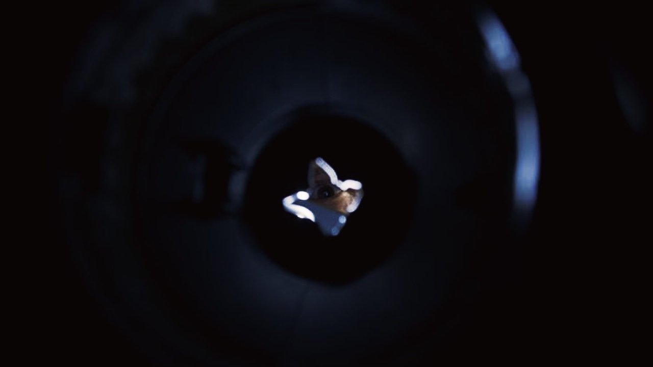Disposal