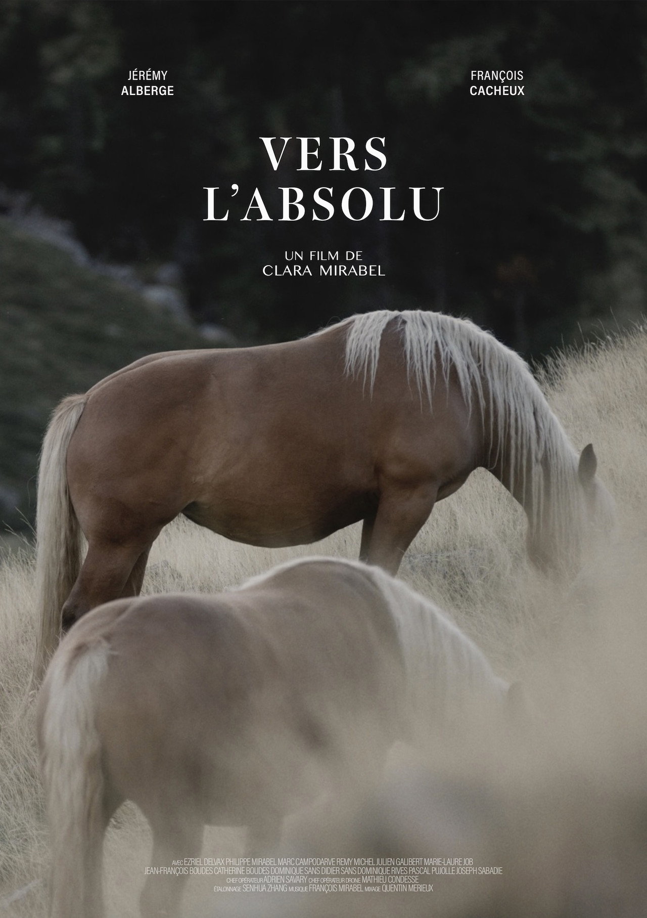 Vers l'absolu