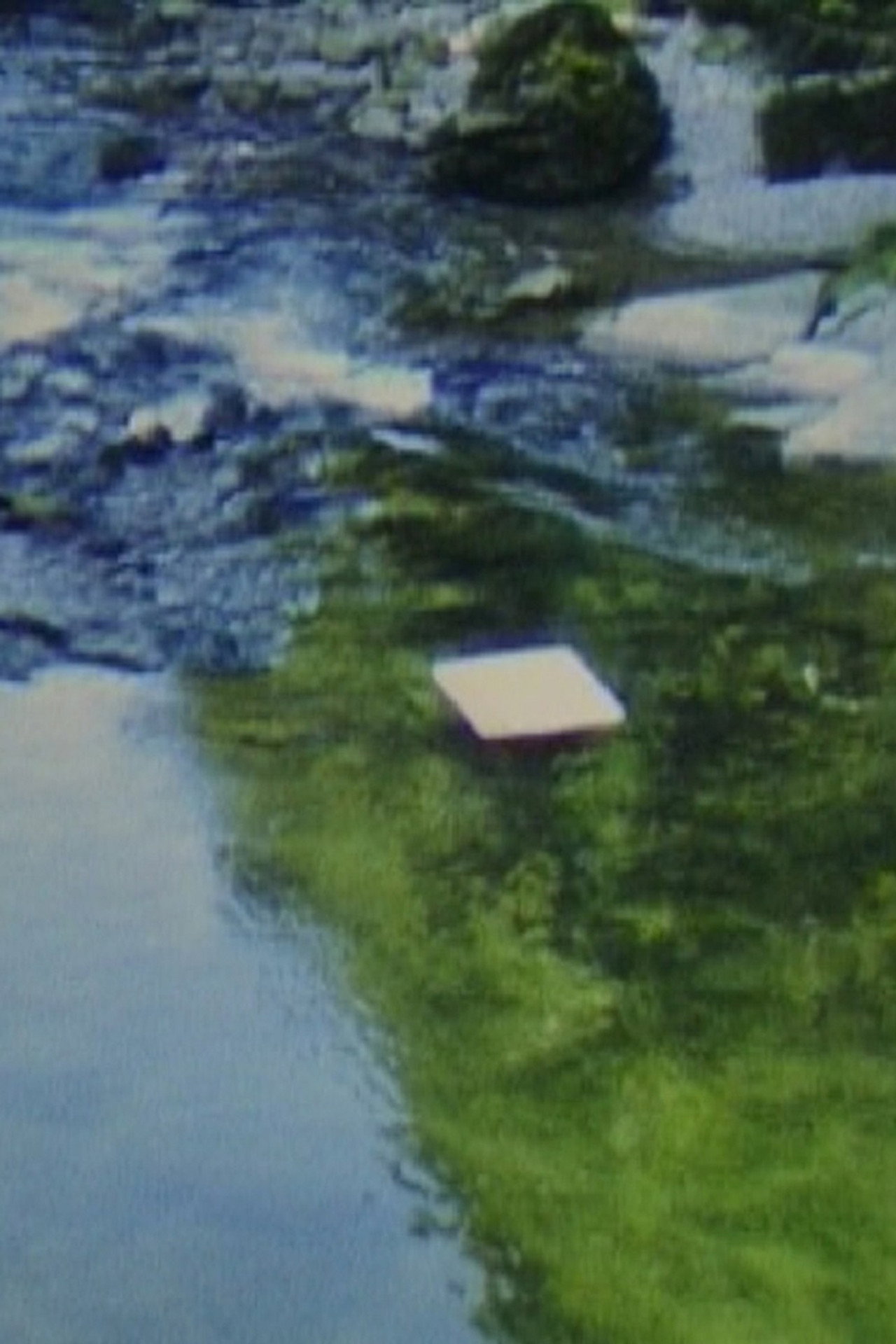 Paper in River filmaffisch