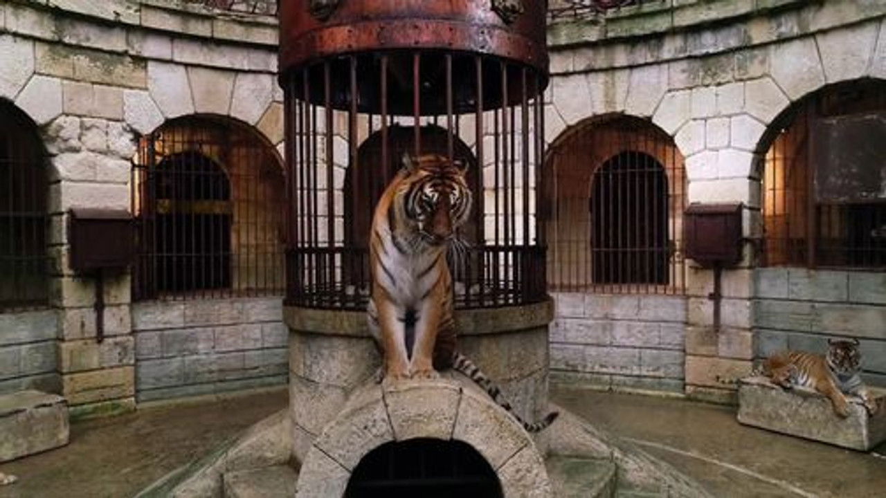 Fort Boyard (Deutschland) — Épisode 2