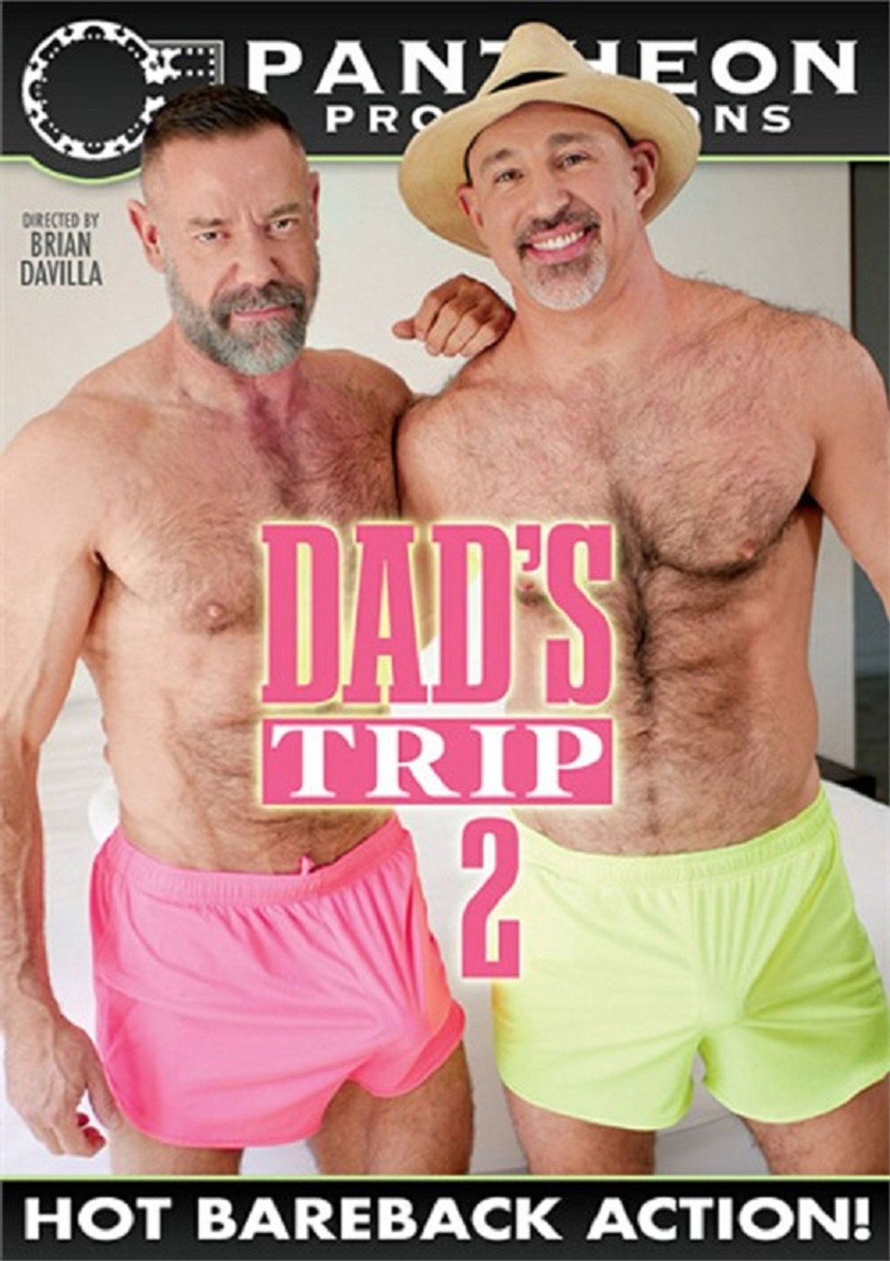 Dad's Trip 2 filmaffisch