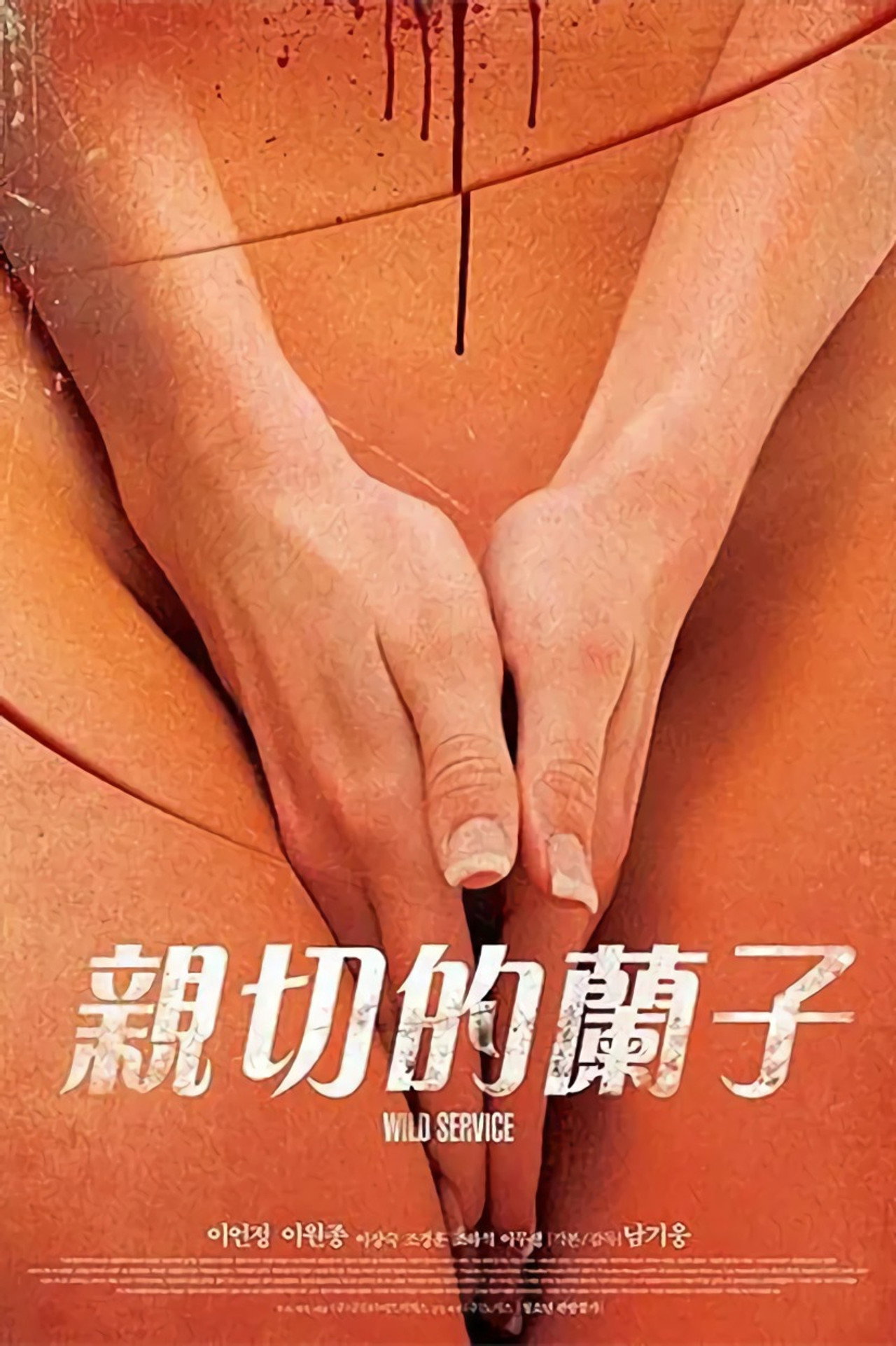 어느 잔인한 미용사의 filmaffisch