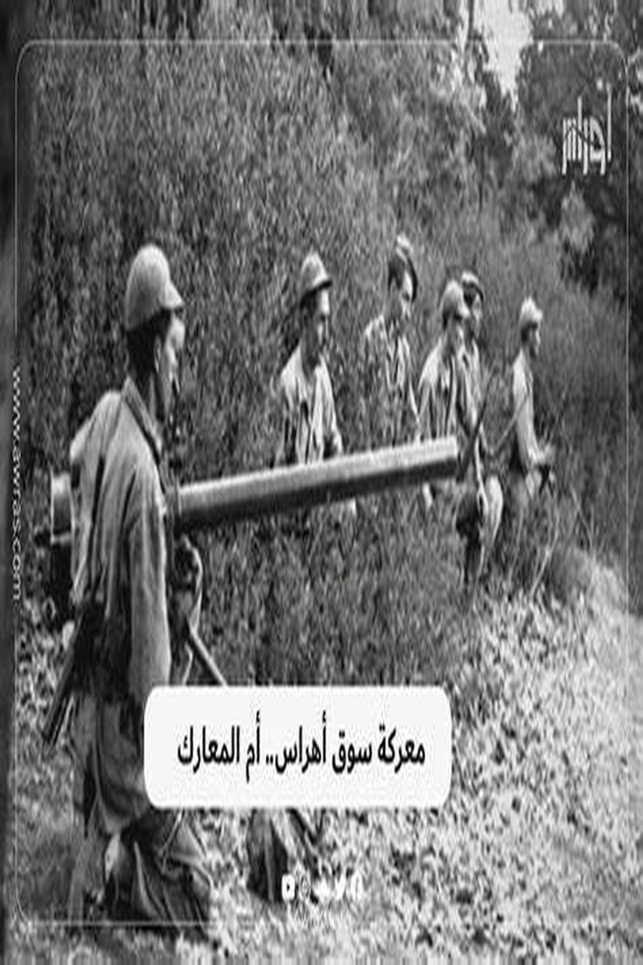 المواجن معركة سوق اهراس
