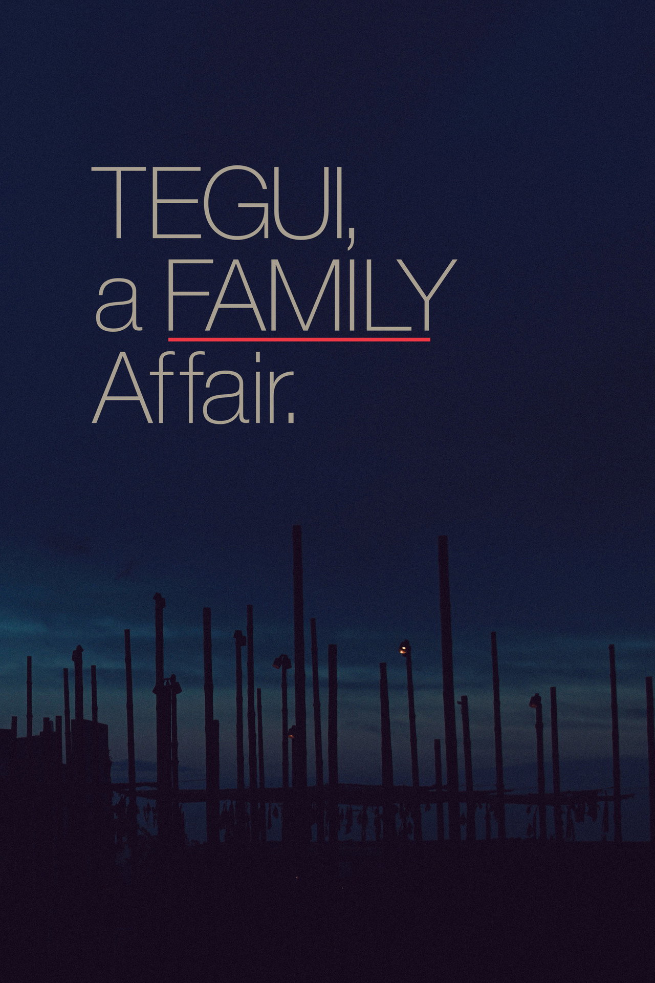 Tegui: Un asunto de familia filmaffisch