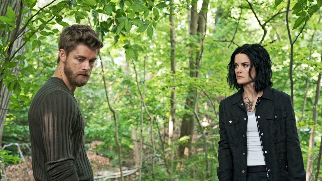 Blindspot - Season 2 Episode 3 : Hero Fears Imminent Rot