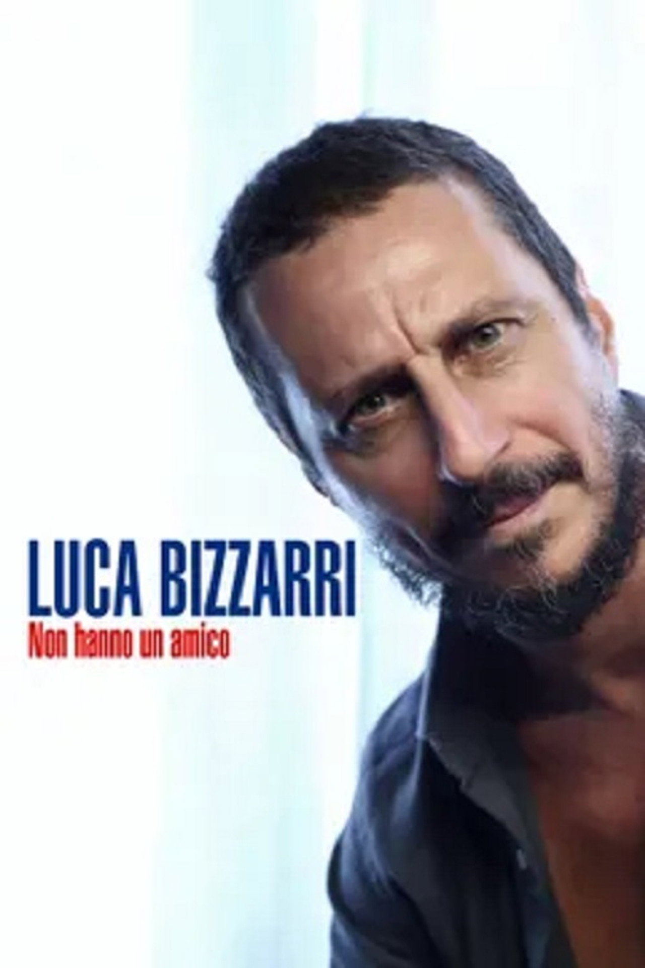 Luca Bizzarri - Non hanno un amico affisch