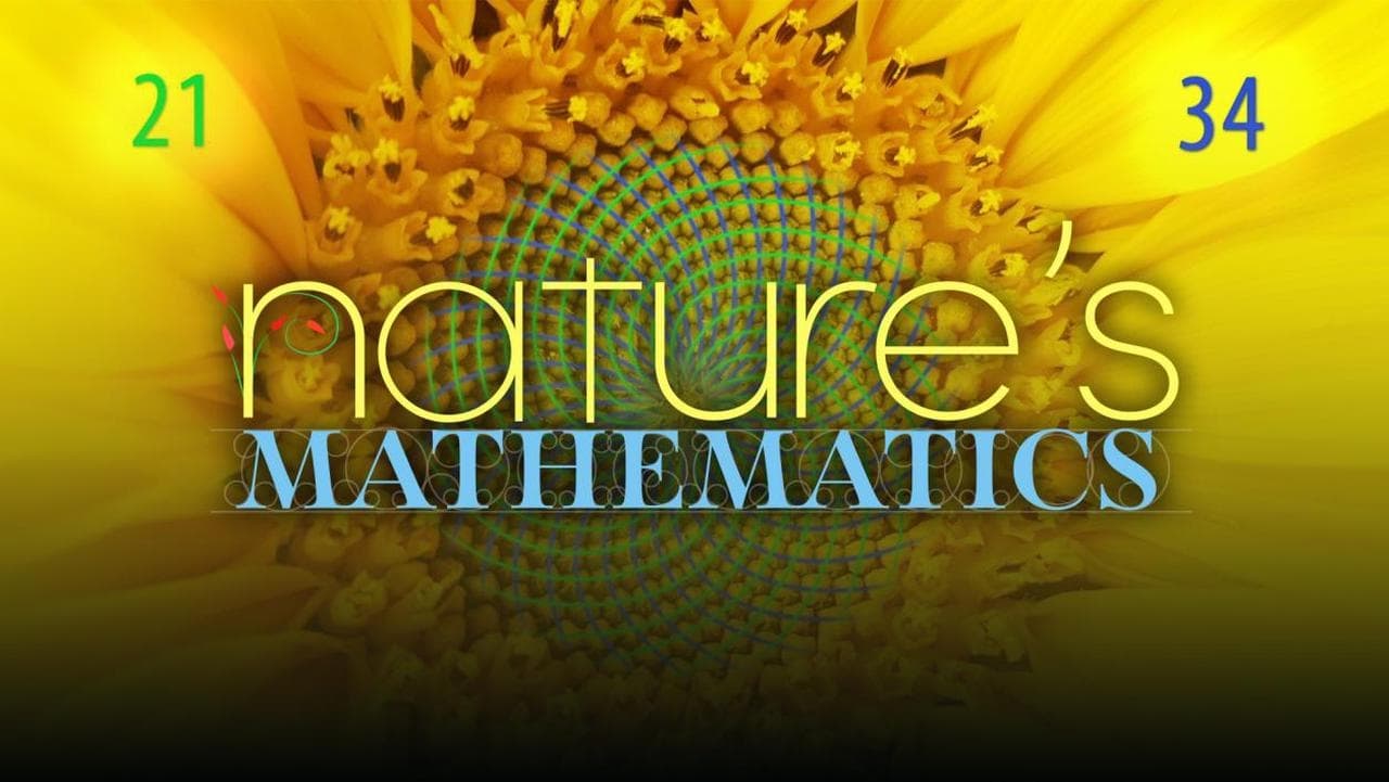 Nature's Mathematics background