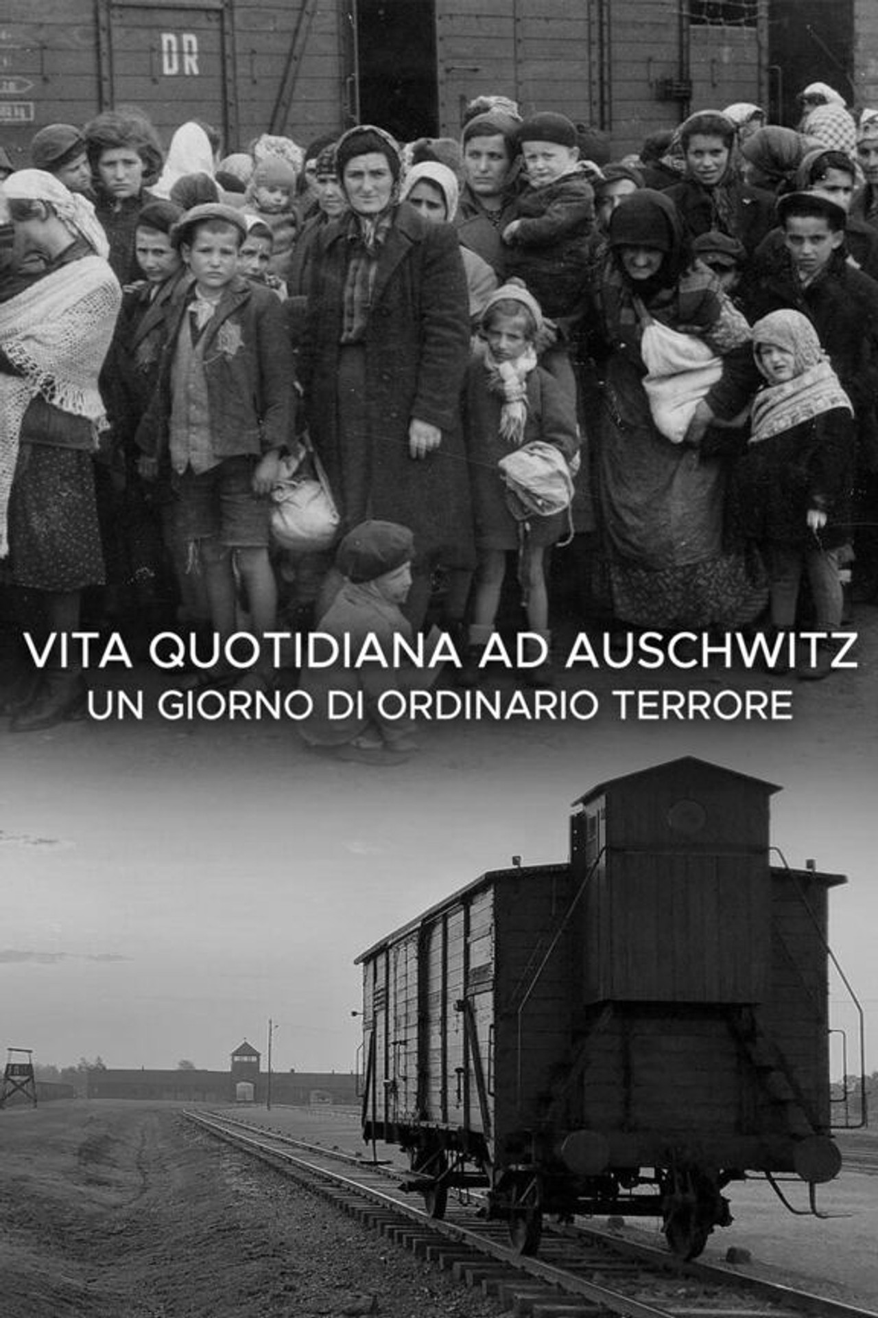 Vita quotidiana ad Auschwitz - Un giorno di ordinario terrore filmaffisch
