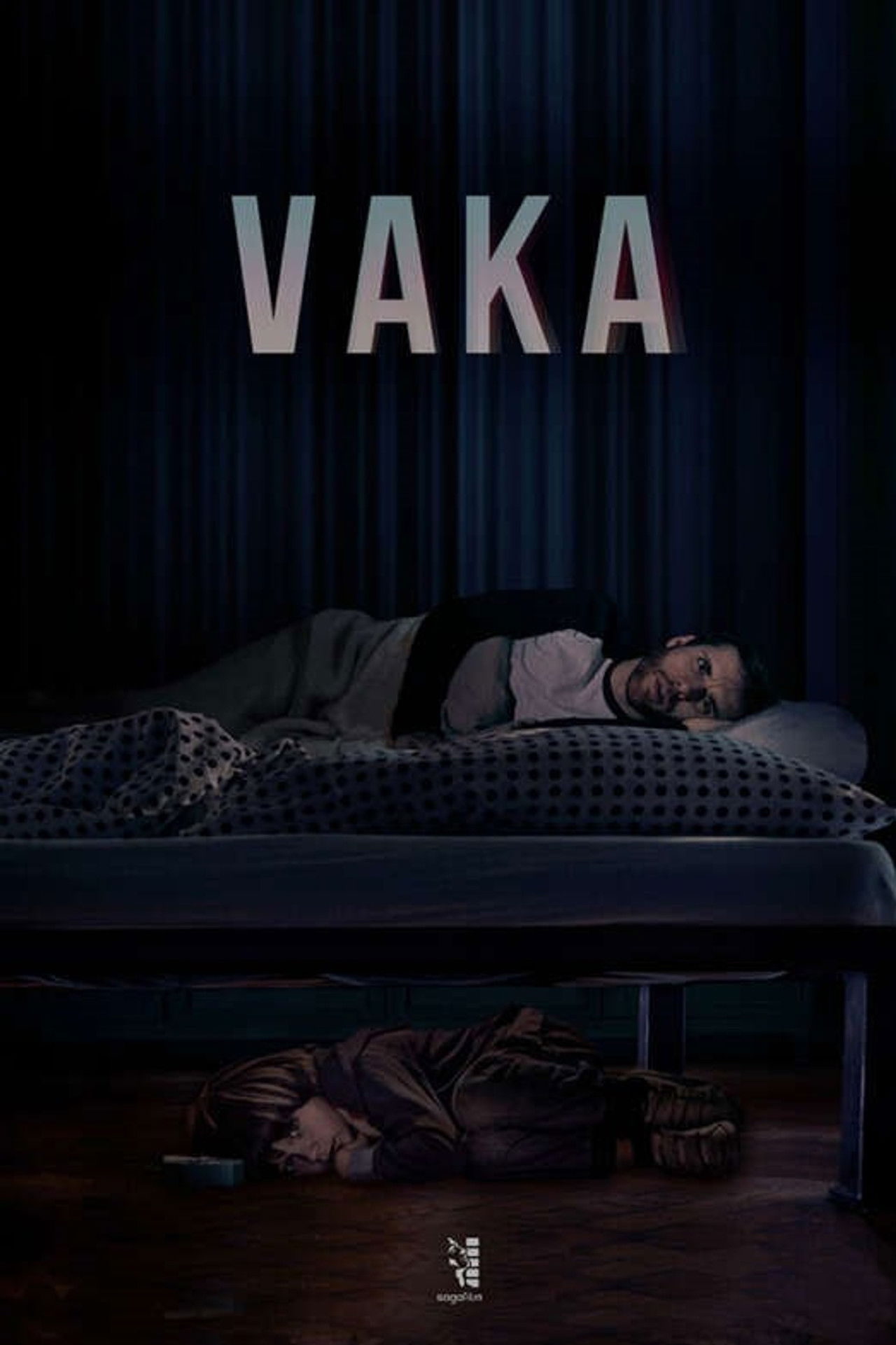 Poster Vaka