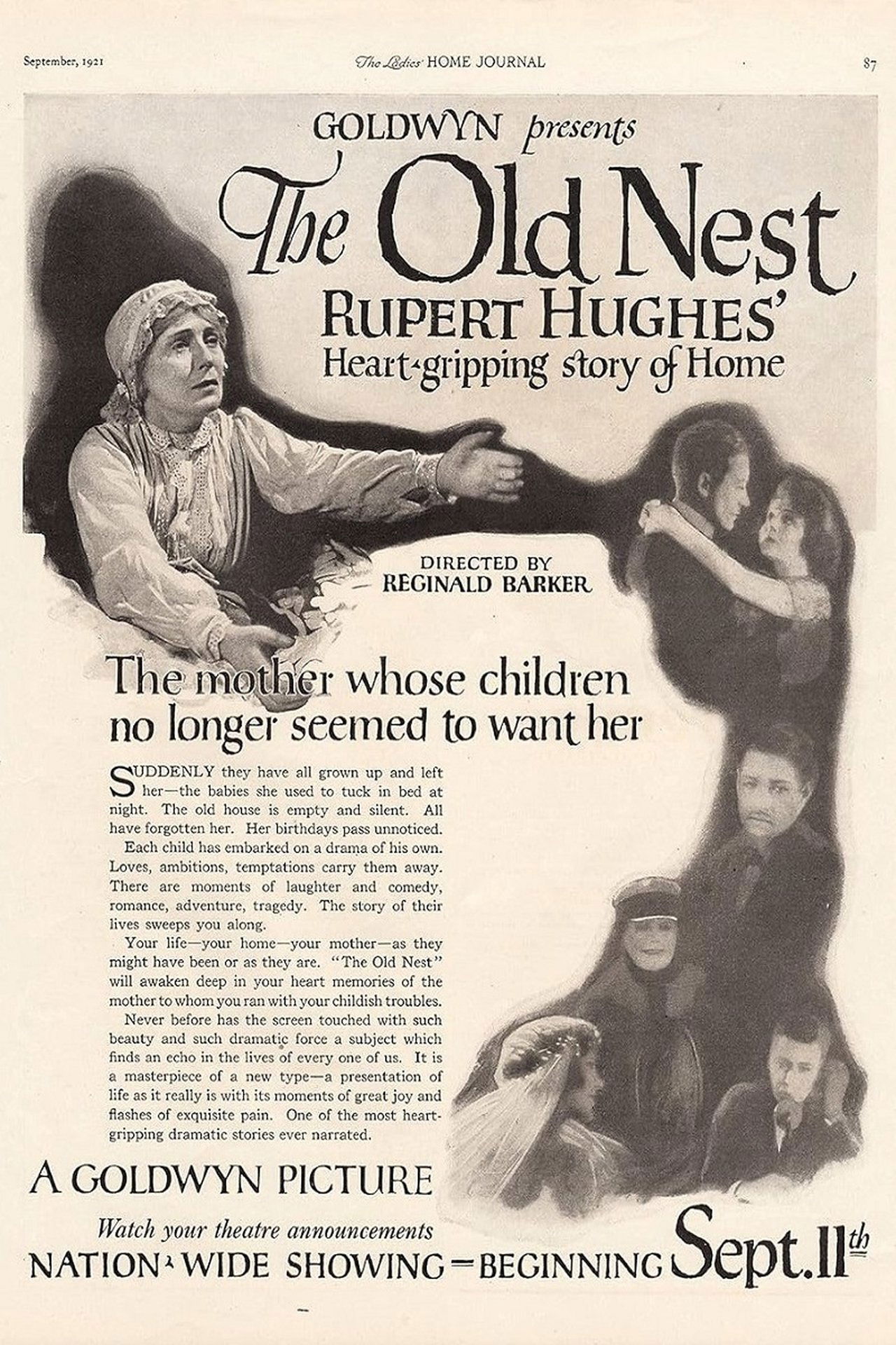 The Old Nest