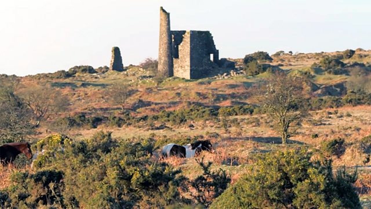 Bodmin Moor