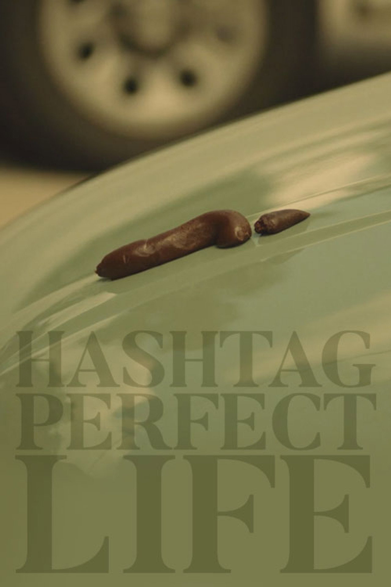 Hashtag Perfect Life filmaffisch