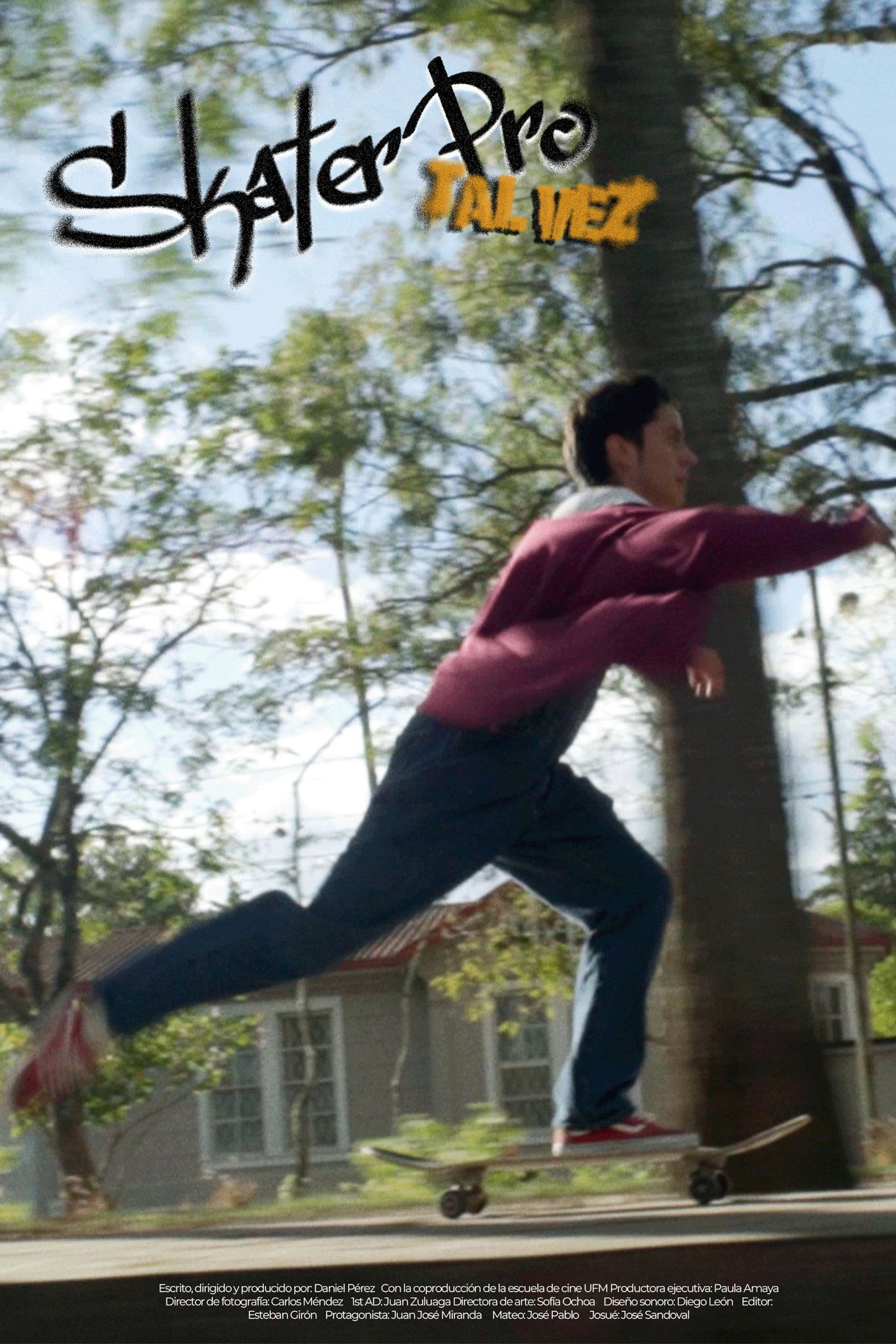 Skater pro(maybe)