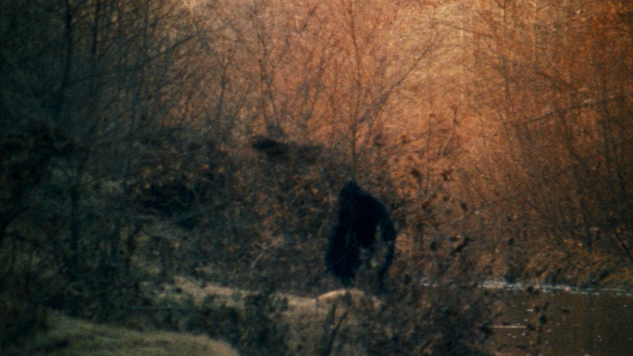 title image