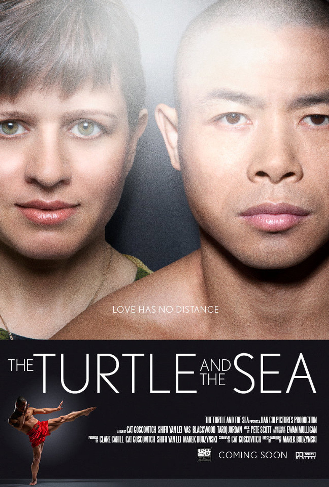 The Turtle and the Sea filmaffisch